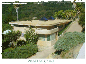 White Lotus